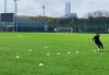 九游会J9- 门兴主场草皮翻新，球员训练条件升级  